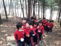 숲체험 - 유경원 견학사진 모음집 - 유경원어린이집 숲체험