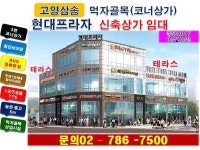 미용실 임대점포 (2층) 보/3천/월120만 - 옷가게/미용실 - 참조은부동산(상가 오피스텔 전문) 미용실 임대점포 (2층) 보/3천/월120만