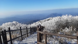 2020-01-09(목) 덕유산 안내 - 정기산행공지방(New) - 두리 산악회 2020-01-09(목) 덕유산 안내