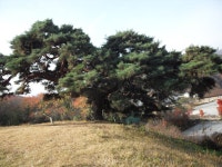 1.적상산 1034m(2014.11.11) - 자유계시판 - 화성산악회 1.적상산 1034m(2014.11.11)