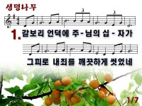 생명나무(2012년 4월 다섯째주 주보찬양) - ♣찬양 악보 PPT 자료방 - 새검단교회 생명나무(2012년 4월 다섯째주 주보찬양)