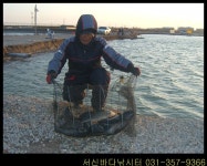 서신 바다낚시터 4월5일 대박 조황 입니다