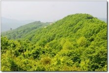 대관령 - ―····포토ノ풍경이미지 - 좋은 글과 좋은 음악이 있는 곳 대관령