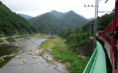 *맛있는 집&멋있는 집* - 대구,경북 | ■ 백두대간 V-트레인 협곡열차-경북 봉화 분천역&탄광역사촌 - Daum 카페 ■ 백두대간 V-트레인 협곡열차... 