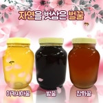 피나무꿀 판매 - ☆━━━━━(사고팔고)…………˚。농산물 - ★━농수산물 직거래장터 [농장]━★ 봉장직영 국내산 벌꿀 벌화분 피나무꿀 판매