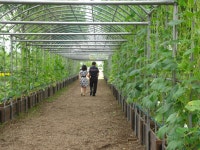 삼락공원 초여름 소경.. - ―····포토ノ풍경이미지 - 좋은 글과 좋은 음악이 있는 곳 삼락공원 초여름 소경..