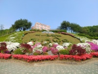 장안정다운 사진 3