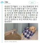 실시간 버스정류장에 유기된 것으로 보이는 강아지...... - 동네마당 - 소주담(談) : 소소한 주민들의 이야기 실시간 버스정류장에 유기된 것으로... 