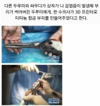 티타늄 부리를 얻은 두루미.jpg - 웃긴자료 ‥‥‥‥‥、 - 도탁스 (DOTAX) 티타늄 부리를 얻은 두루미.jpg