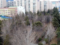 부산 최고 동래럭키아파트의 1월 풍경 | 부동산뱅크 커뮤니티