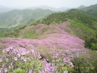 지금 봉화산은? - ‥― 정기산행 공지/신청 - 용인 산악회 지금 봉화산은?