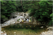 재경청하중학교동문회 | 무주 제비봉 지보봉 망봉 (2015.06.23) - Daum 카페 무주 제비봉 지보봉 망봉 (2015.06.23)