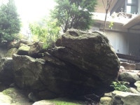 유왕별서의 두 마리 용 - 유왕별서구경하기 - 유왕별서펜션 유왕별서의 두 마리 용