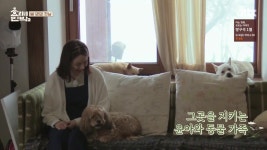 [효리네민박2] 윤아 품안에서 잠드는 고양이 순이 - 악플달면 쩌리쩌려버려 - ＊여성시대＊ 차분한 20대들의 알흠다운 공간 [효리네민박2] 윤아... 