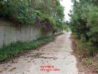 전원주택지로 좋은 일로읍 토지매매 - 무안 - 부동산 백화점 전원주택지로 좋은 일로읍 토지매매