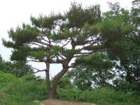 산행기 - 한남금북정맥 2회차 종주 산행기(화봉육교~방아다리고개)