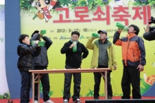벚꽃 만개 전, 만날 수 있는 봄맞이 축제들 
