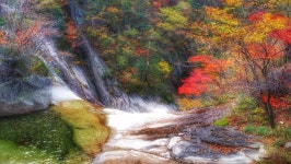 사진과 영상으로 즐기는 설악산의 단풍과 폭포