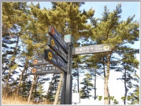 [태안 해변길] 소원길 - 도보 후기 - 대전 도보여행 [태안 해변길] 소원길