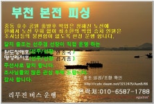 출조안내 - 9일(목) 완도청해호갈치 , 11일(토) 완도명성레져갈치 , 13일(월) 오천해양호 쭈꾸미 . 14일(화) 완도명성레져갈치 ( 타선사예약후... 