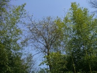 전국공무원노동조합 경기지역본부 부천시지부 우리 道를 ┖풍년골에서 나온 井山道(일명 우물道)┖라 명명토록 확정하겠소