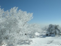 한라산 -1 - 사진방 - 풍양조씨자효회 한라산 -1
