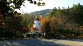 풍캠전경사진 - 카페 앨범 - 유명산 풍차캠핑장 풍캠전경사진