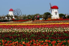 임자도 - 사진 한장 - 양림의료봉사단 임자도