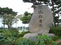 회산 백련지 2 - 춤쟁이 국내 나들이 - 댄스매니아들 회산 백련지 2