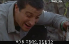 베어그릴스의 스컹크 맛 표현 - 인스티즈(instiz) 이슈 카테고리 베어그릴스의 스컹크 맛 표현