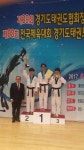 봉담 동화리 태권도 / 경기도 협회장기 대학부 단체품새 우승 /경희대 함태권스쿨 / 장안대학교 품새 동아리팀 - 사진앨범 - 세계프로태권도협회... 