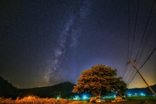 구사모 일경구화 품평회 및 판매교류전 실시 - 애란마을 공지사항 - 애란마을 구사모 일경구화 품평회 및 판매교류전 실시