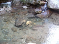 지리산 둘레길 3구간 인월에서 금계 마을까지 / 춤쟁이 - 춤쟁이 국내 나들이 - 댄스매니아들 지리산 둘레길 3구간 인월에서 금계 마을까지 / 춤쟁이