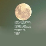 당신 생각을 켜 놓은 채 잠이 들었습니다 - 인스티즈(instiz) 이슈 카테고리 당신 생각을 켜 놓은 채 잠이 들었습니다