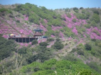 제44회 의령 자굴산(897m) 한우산(836m) 산성산(741.4m철축산행 - 산행일정 및 신청방 - 평택 산누리 산악회 평택 산누리 산악회
