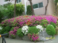 눈의 피로 풀어보세요| - 오포성당 건의사항 - 오포성당 눈의 피로 풀어보세요|