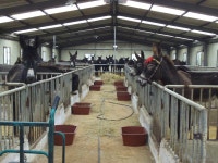 한울소 호남분양 농장 입니다, - 동키동산 분양문의 - 동키동산 한울소 호남분양 농장 입니다,