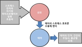 산모와 태아 케어 프로그램 - 자유게시판 - 성영주 자연치유원(영진운기수련원) 산모와 태아 케어 프로그램
