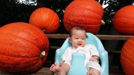 - 참샘골 호박이야기 - 참샘골호박농원 (호박손,호박손달인물,호박즙,호박죽) 예준이가 참샘골 호박모델이 되었어요.