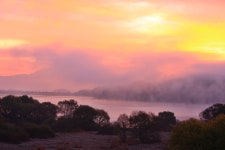 추천갤러리 - 우포의 아침