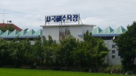 가조도 10분거리 사곡 해수욕장 - 벽화민박 공지사항 - 거제도 민박 가조도 10분거리 사곡 해수욕장