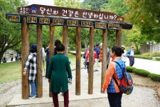 용문사 모임 - 2019년 용문사 모임 - 자운동기모임 용문사 모임