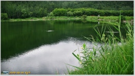 칠곡 동명 - 유등지 - ………… 배스 낚시터 - 금호강 꽃밭배스 칠곡 동명 - 유등지