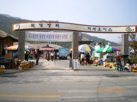 여사사 - 여행을 사랑하는 사람들-가자 여사사 | 4월12(화) 봄꽃여행-하동쌍계사 벚꽃십리/구례산동마을 산수유축제/광양매화마을 관광갑니다... 