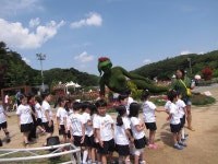 장미축제 가봄~ - ..........▒☞자유게시판 - 영천 영동고등학교 총동창회 영천 영동고등학교 총동창회