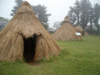 제주 올레 11코스 (하모해수욕장에서 무릉2리... 올레길 - 댄스매니아들 제주 올레 11코스 (하모해수욕장에서 무릉2리 제주자연생태문화체헙까지)