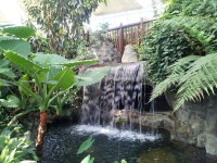 물향기 수목원 - 우리들의 이야기 - 수삼회 모임 물향기 수목원