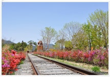 봄... - 카페 다운 자료 - 솔라그라시아 봄...