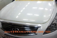광택전문 자동차 피부과 - Ascc 광택&유리막코팅 - Ascc자동차피부과 (02-2668-7233) 인피니티... 광택, 등촌동 ,염창동 광택전문 자동차 피부과