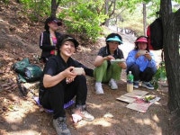 27회 동창생들의 산행 ( 2008 년 7 월 27 일 수락산에서 ) - 추억의 사진전 - 벽탄초등학교총동문회 27회 동창생들의 산행 ( 2008 년 7 월 27... 